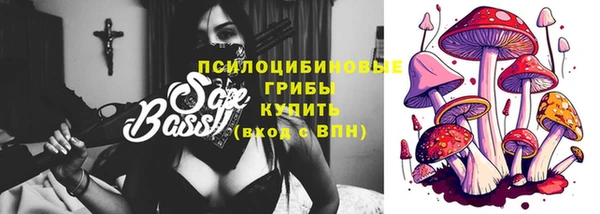 ПСИЛОЦИБИНОВЫЕ ГРИБЫ Кулебаки