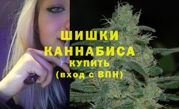 сатива Куйбышев