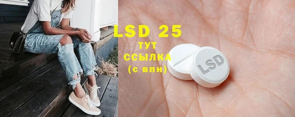 ПСИЛОЦИБИНОВЫЕ ГРИБЫ Кулебаки