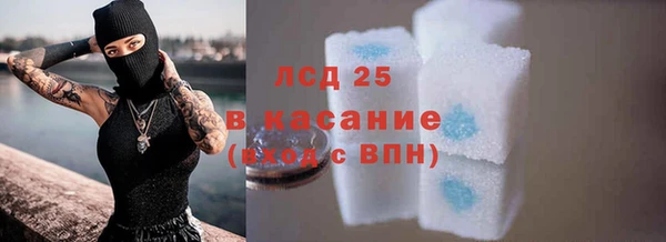 ПСИЛОЦИБИНОВЫЕ ГРИБЫ Кулебаки