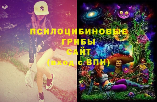 ПСИЛОЦИБИНОВЫЕ ГРИБЫ Кулебаки
