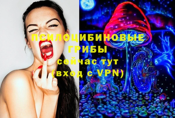 ПСИЛОЦИБИНОВЫЕ ГРИБЫ Кулебаки