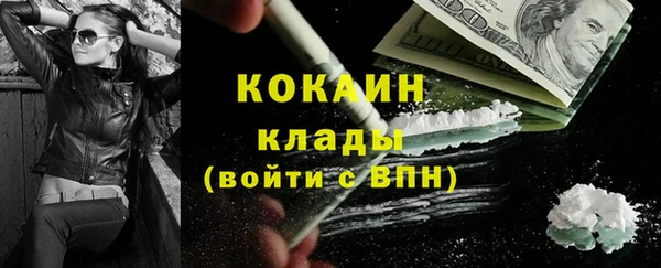 сатива Куйбышев
