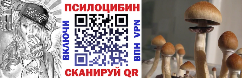 Купить закладки  Протвино  Псилоцибиновые грибы Magic Shrooms 